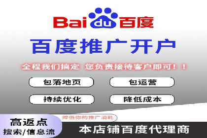 SEM投放策略优化案例分析